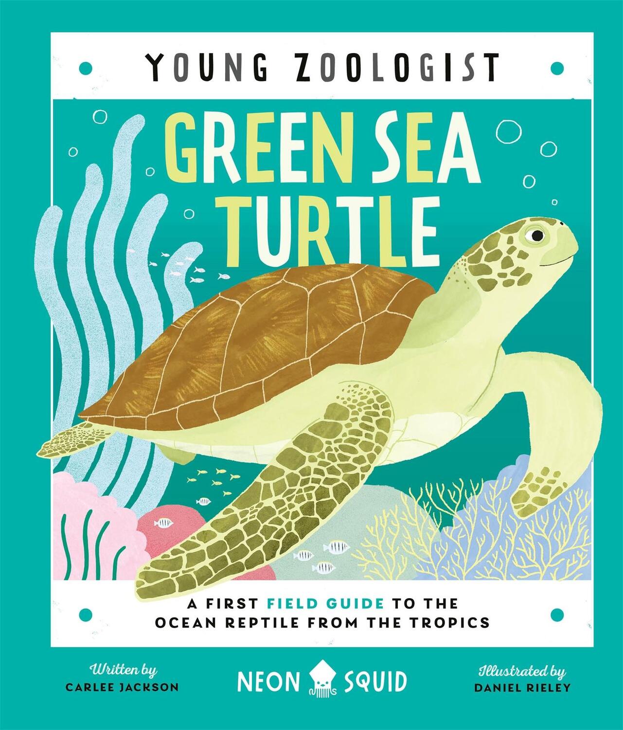 Cover: 9781838992897 | Green Sea Turtle (Young Zoologist) | Carlee Jackson (u. a.) | Buch