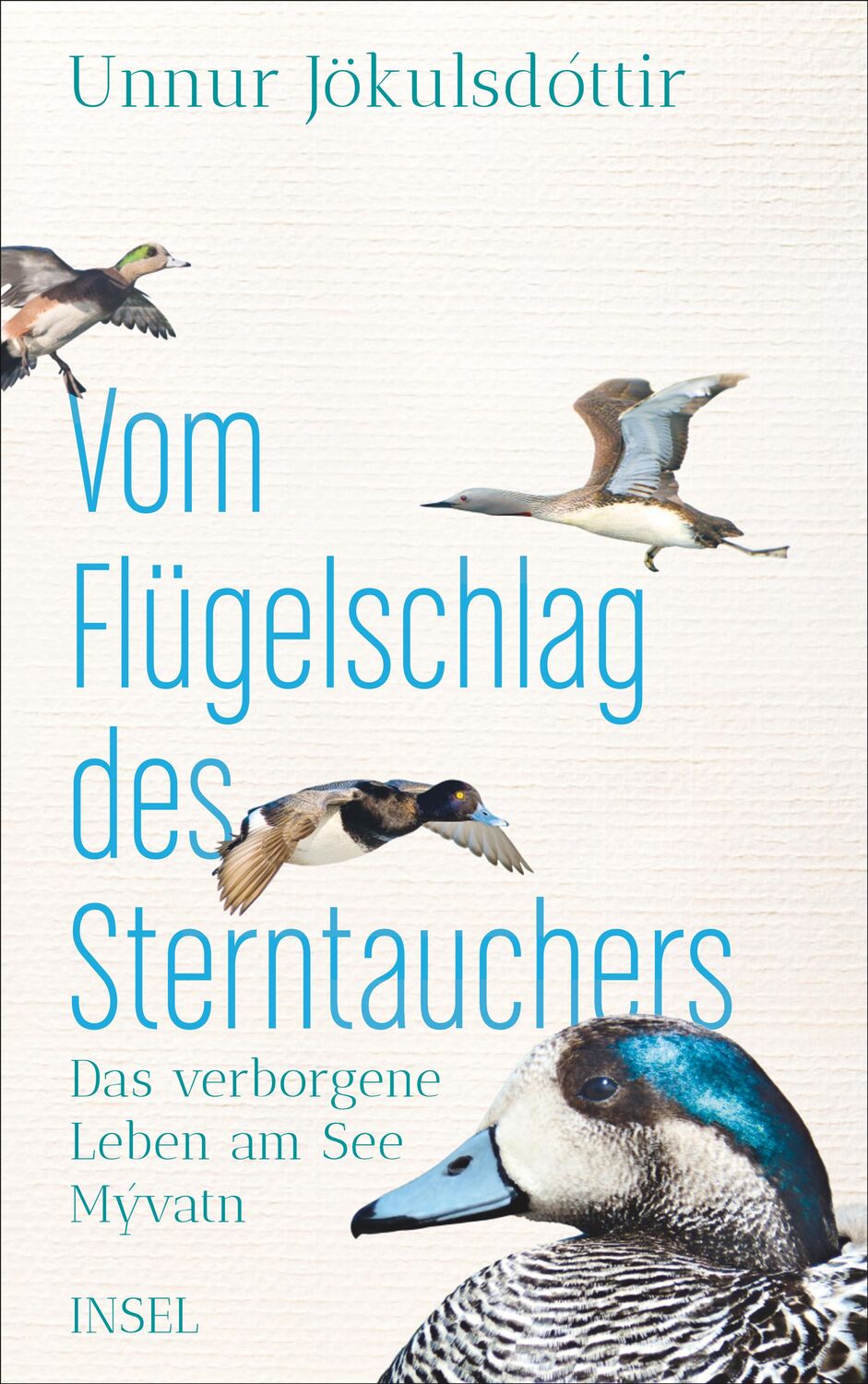 Cover: 9783458178064 | Vom Flügelschlag des Sterntauchers | Unnur Jökulsdóttir | Buch | 2019