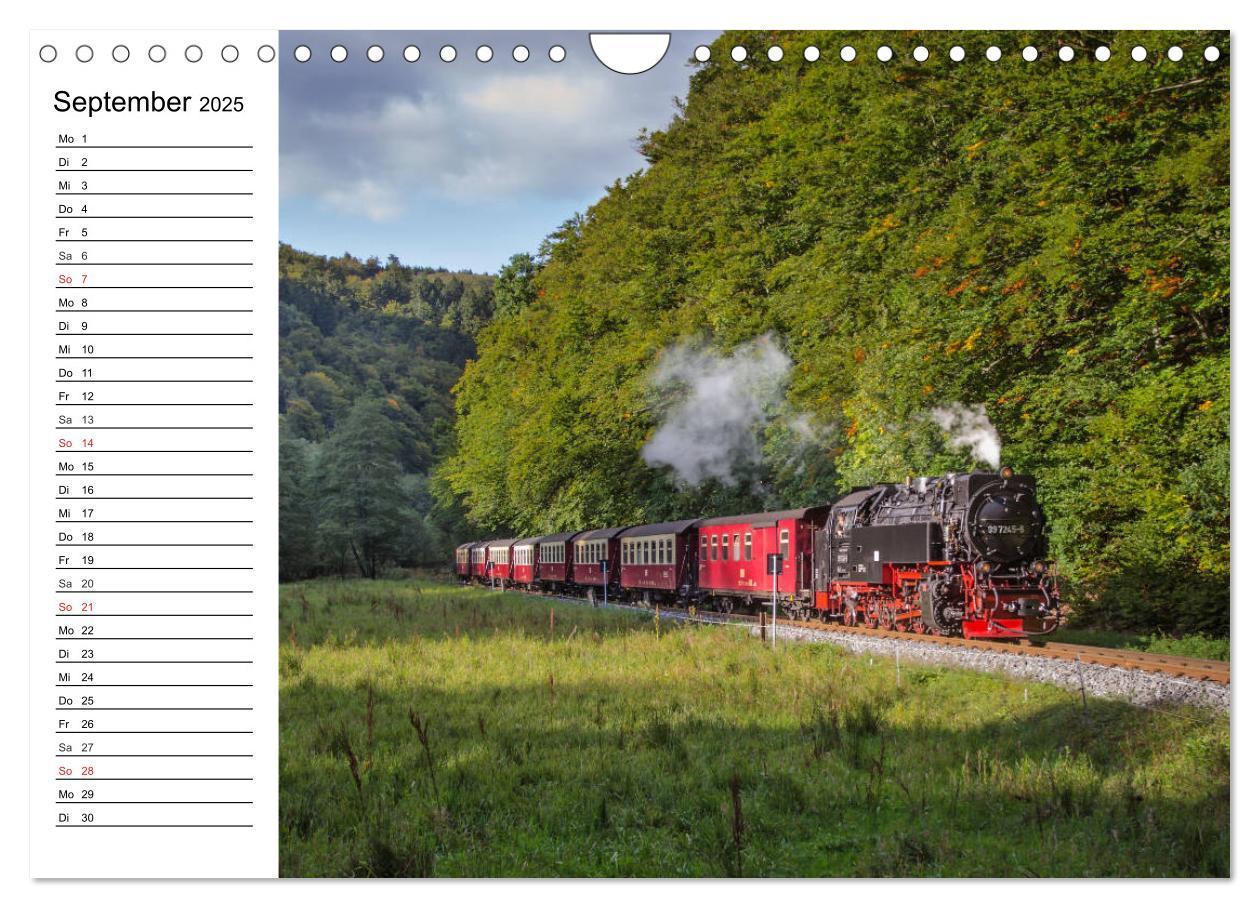 Bild: 9783435217908 | Schmalspurbahnen im Harz (Wandkalender 2025 DIN A4 quer), CALVENDO...