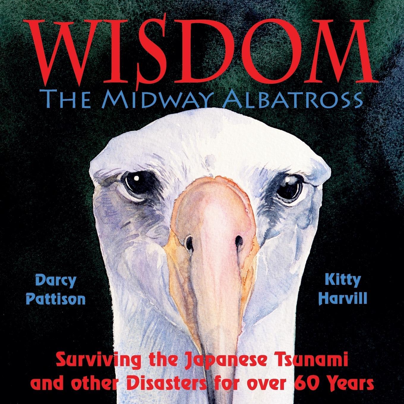 Cover: 9780979862175 | Wisdom, the Midway Albatross | Darcy Pattison | Taschenbuch | Englisch