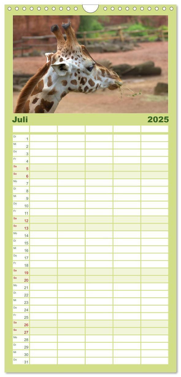 Bild: 9783457110126 | Familienplaner 2025 - Giraffen mit 5 Spalten (Wandkalender, 21 x 45...