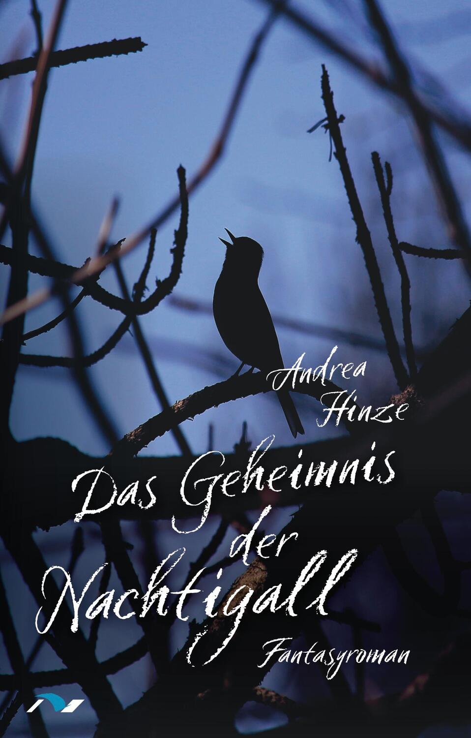 Cover: 9783933011732 | Das Geheimnis der Nachtigall | Fantasyroman | Andrea Hinze | Buch