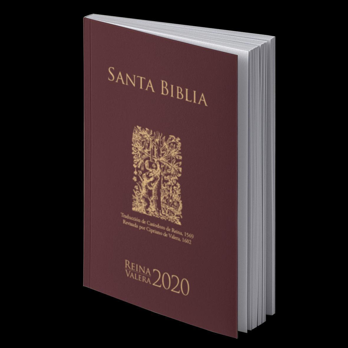 Cover: 9783438083241 | Spanisch Reina Valera 2020 | Bibel - traditionelle Übersetzung | Buch