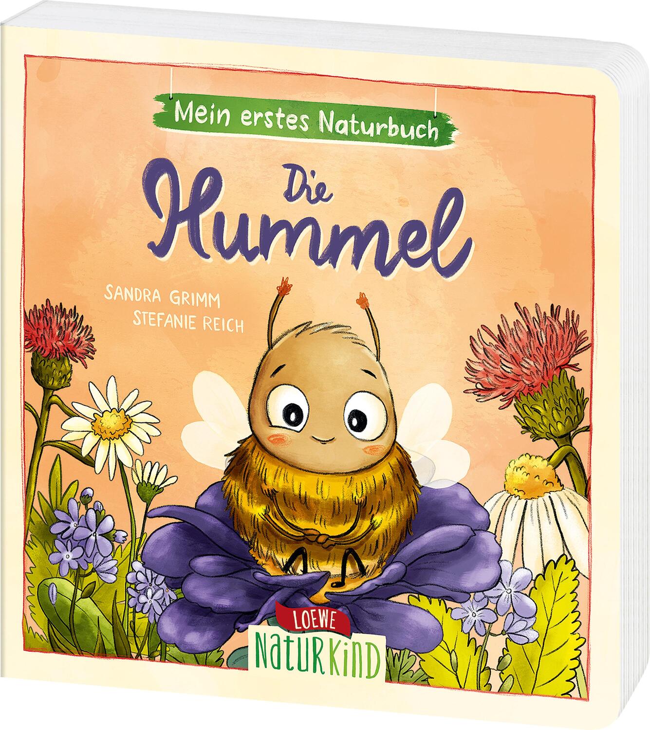 Cover: 9783743213173 | Mein erstes Naturbuch - Die Hummel | Sandra Grimm | Buch | Naturkind
