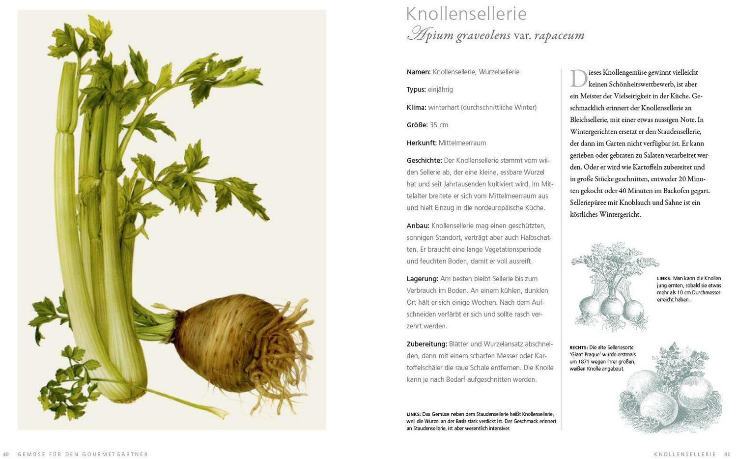 Bild: 9783832199050 | Gemüse für den Gourmetgärtner | Simon Akeroyd | Buch | Deutsch | 2016