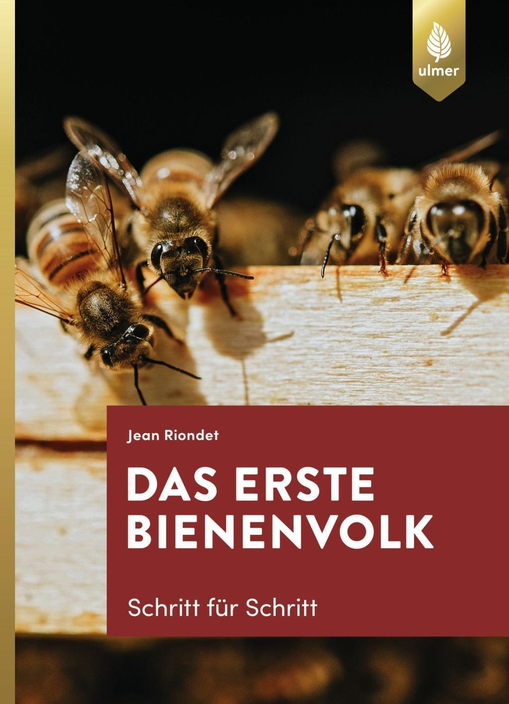 Cover: 9783800102921 | Das erste Bienenvolk - Schritt für Schritt | Jean Riondet | Buch