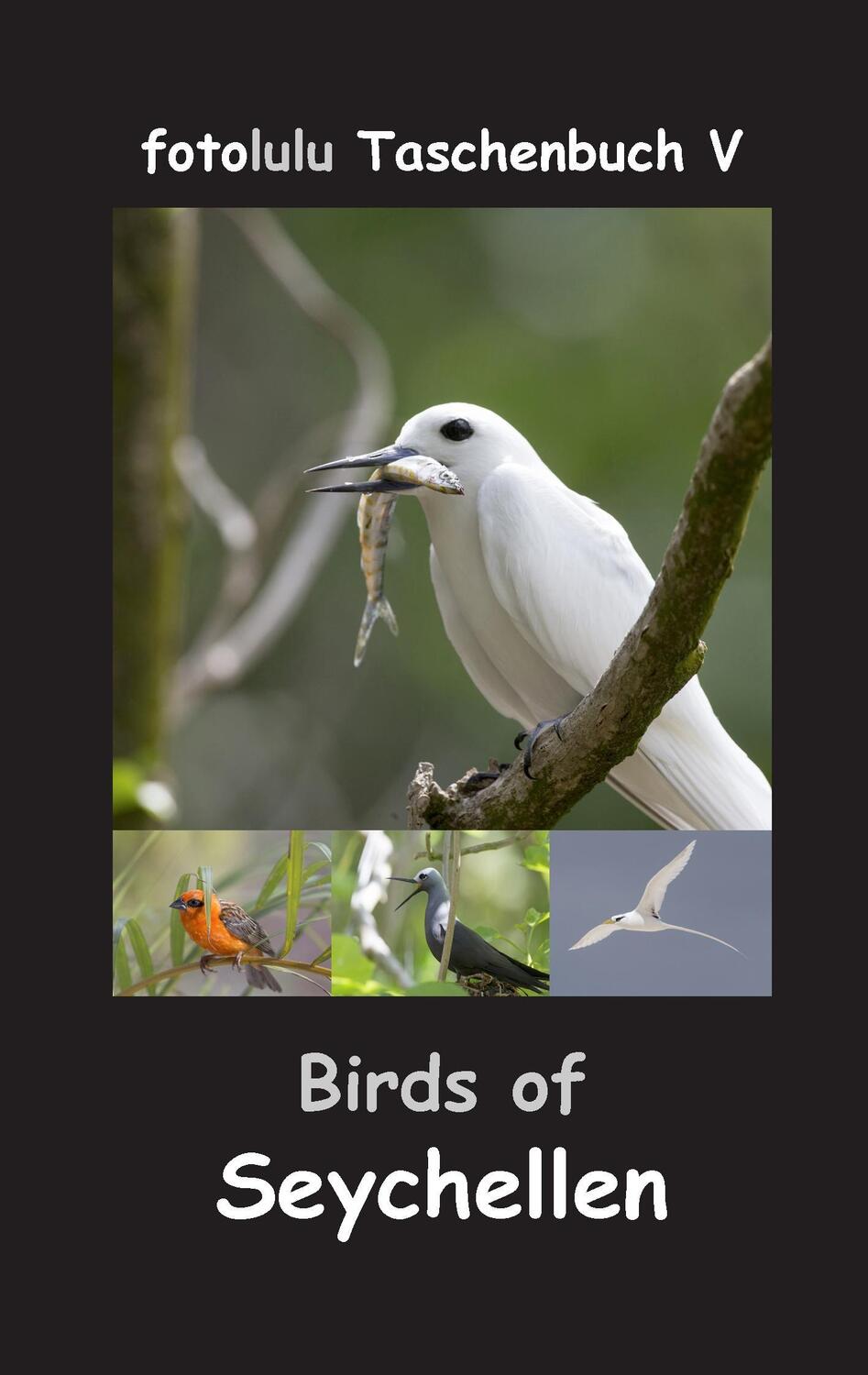 Cover: 9783743161344 | Birds of Seychellen | Fotolulu | Taschenbuch | fotolulu Taschenbuch