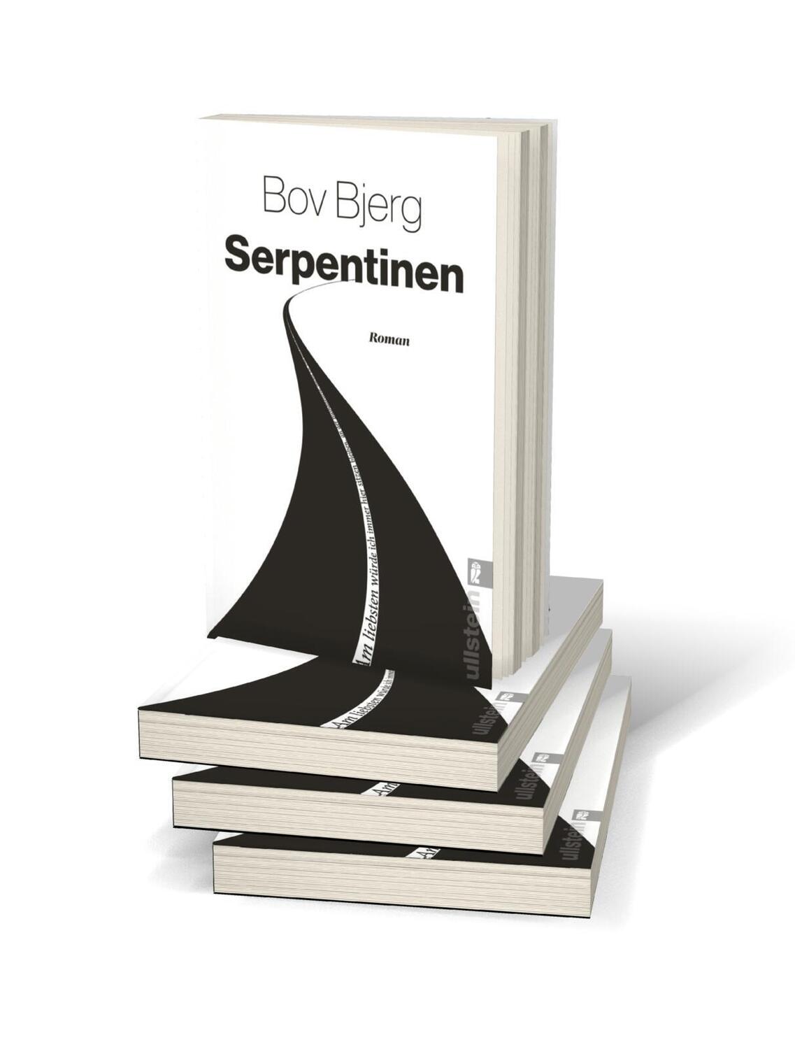 Bild: 9783548064758 | Serpentinen | Roman | Bov Bjerg | Taschenbuch | 272 S. | Deutsch