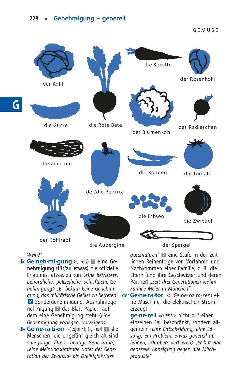 Bild: 9783125145757 | Langenscheidt Schulwörterbuch Deutsch als Fremdsprache | Buch | 720 S.