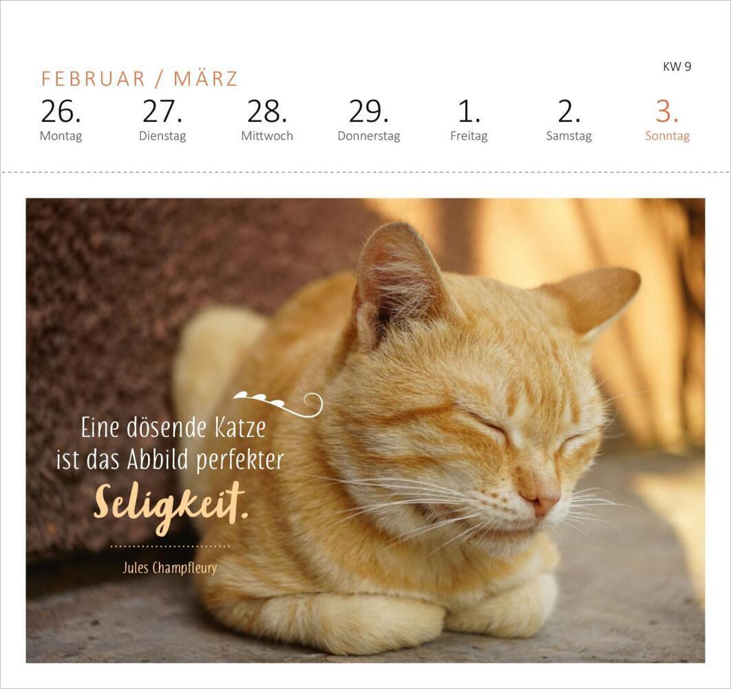 Bild: 4014489130055 | Postkartenkalender Katzenweisheiten 2024 | Kalender | Spiralaufsteller