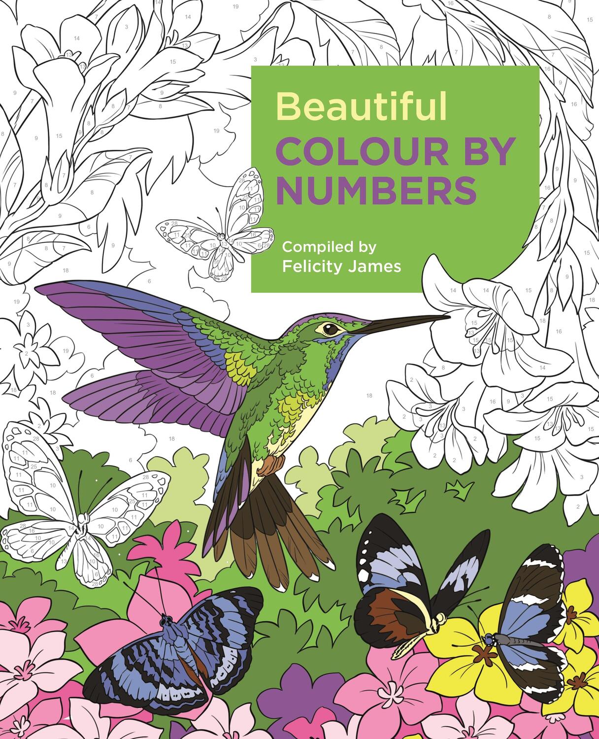 Cover: 9781788887687 | Beautiful Colour by Numbers | Felicity James | Taschenbuch | Englisch