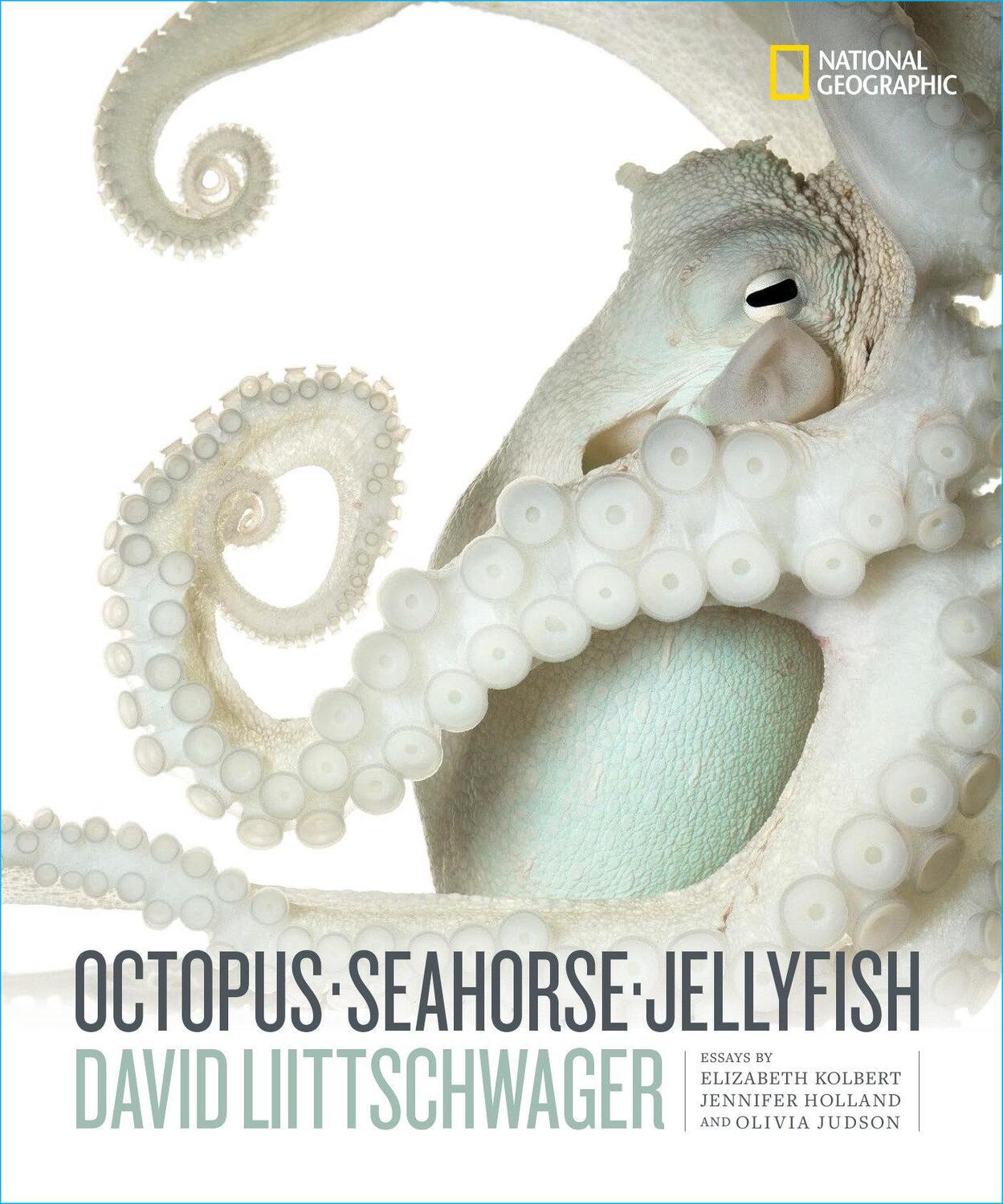 Cover: 9781426221798 | Octopus, Seahorse, Jellyfish | David Liittschwager | Buch | Englisch