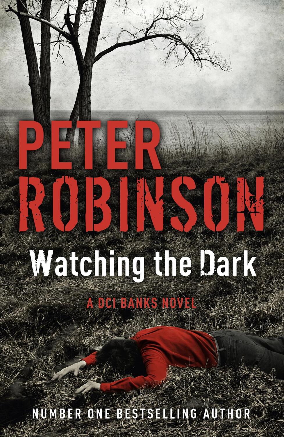 Cover: 9781444704891 | Watching the Dark | DCI Banks 20 | Peter Robinson | Taschenbuch | 2013