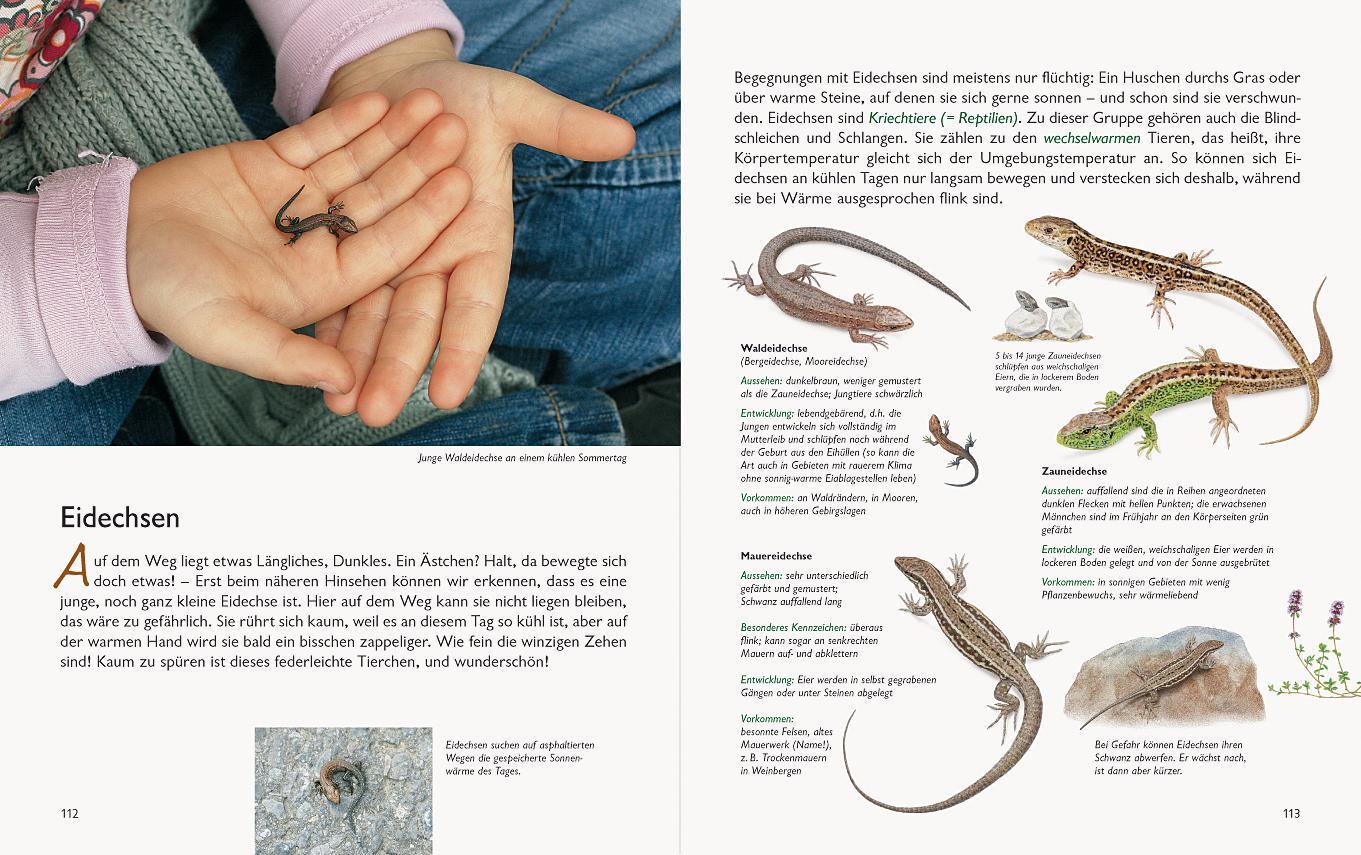 Bild: 9783981548570 | Wawra's Naturbuch, Band 1: Säugetiere, Vögel, Reptilien, Amphibien