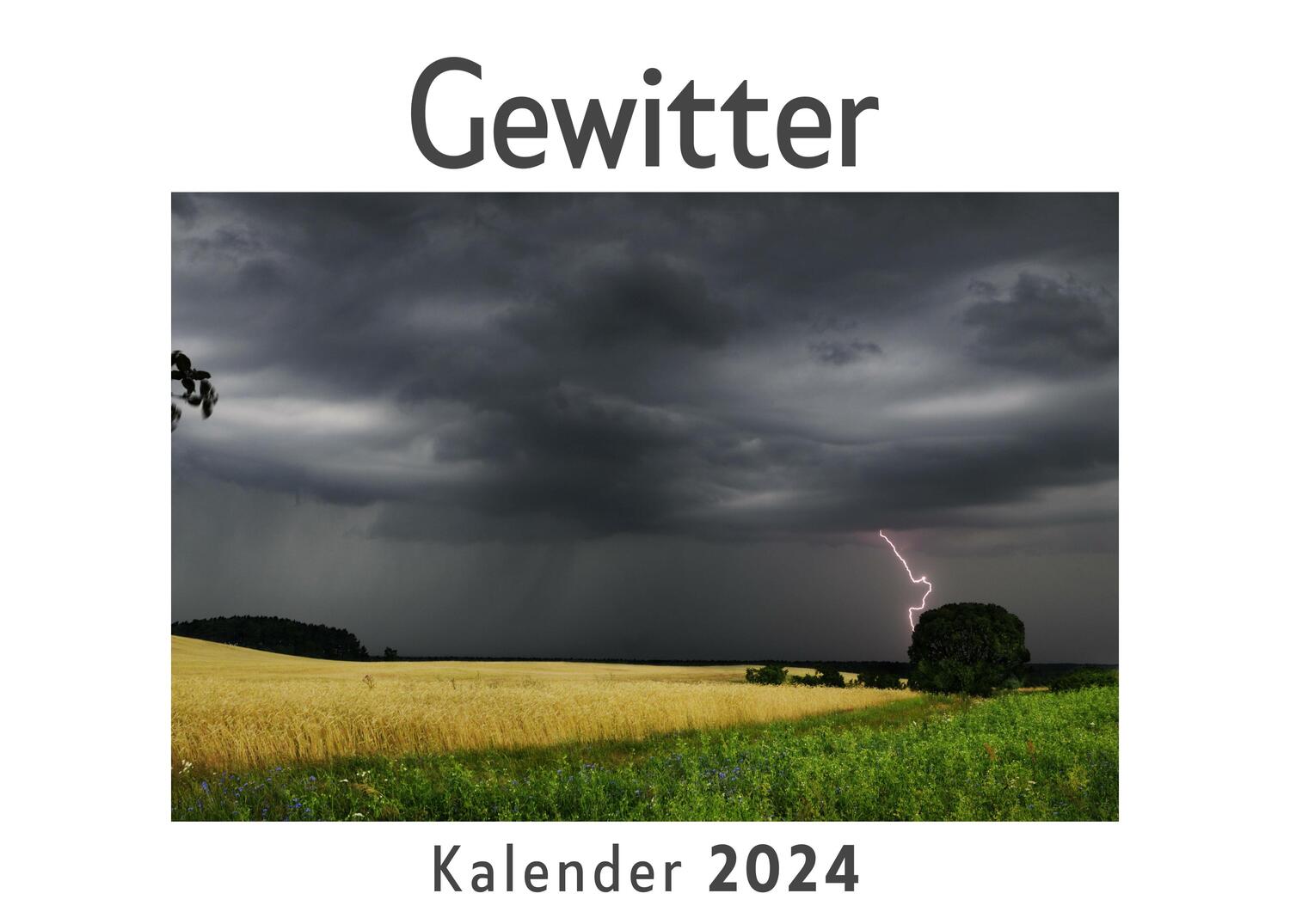 Cover: 9783750547353 | Gewitter (Wandkalender 2024, Kalender DIN A4 quer, Monatskalender...