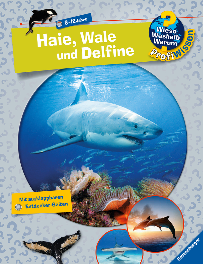 Cover: 9783473329397 | Wieso? Weshalb? Warum? ProfiWissen, Band 24: Haie, Wale und Delfine