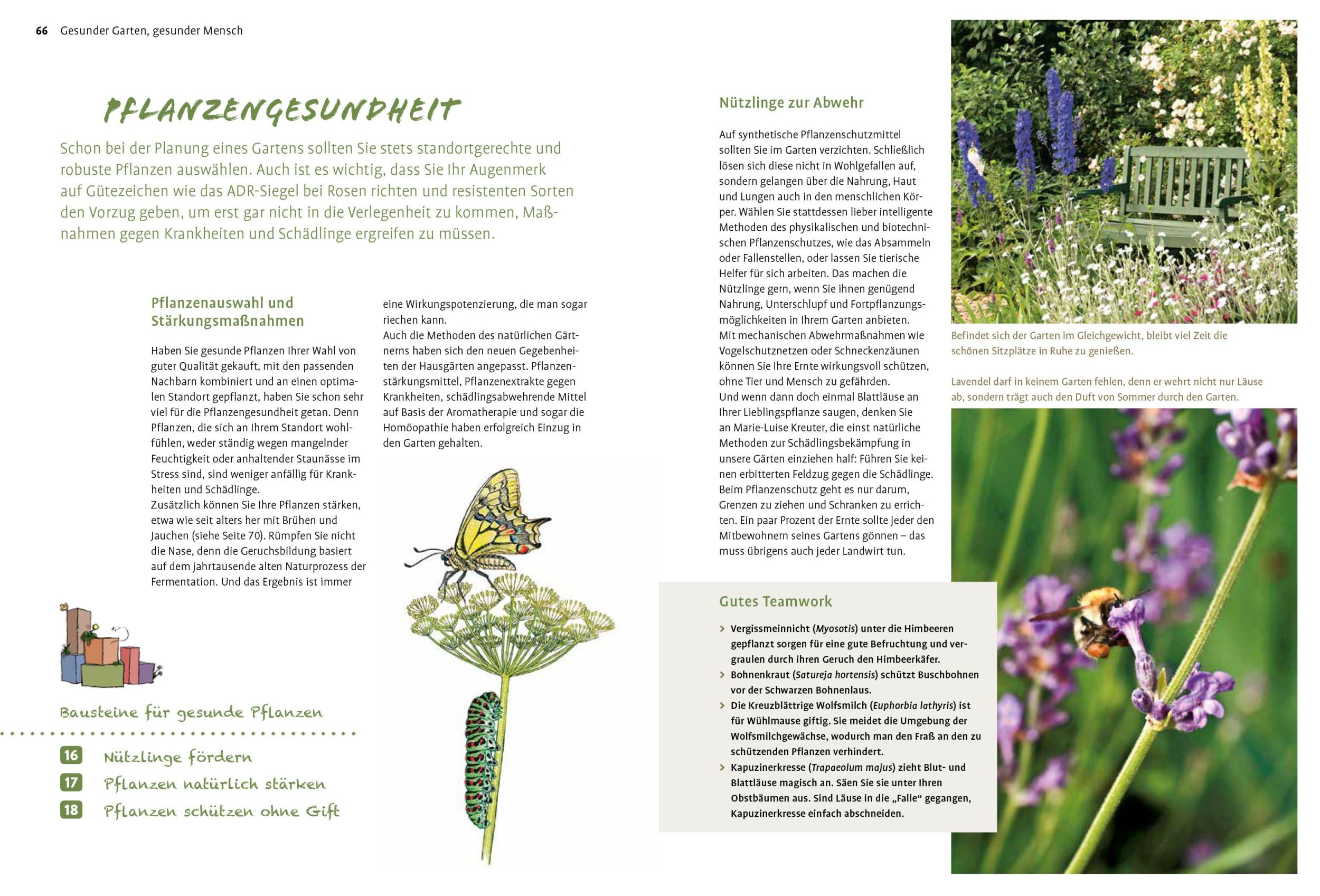 Bild: 9783818615024 | Naturgarten ganz einfach | Heike Boomgaarden (u. a.) | Buch | 144 S.