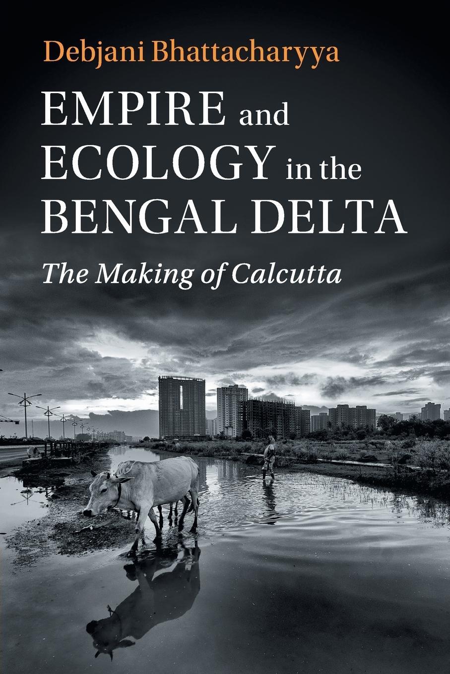 Cover: 9781108443340 | Empire and Ecology in the Bengal Delta | Debjani Bhattacharyya | Buch