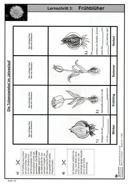 Bild: 9783866326606 | Lernwerkstatt Blumen im Freien | Moritz Quast (u. a.) | Taschenbuch