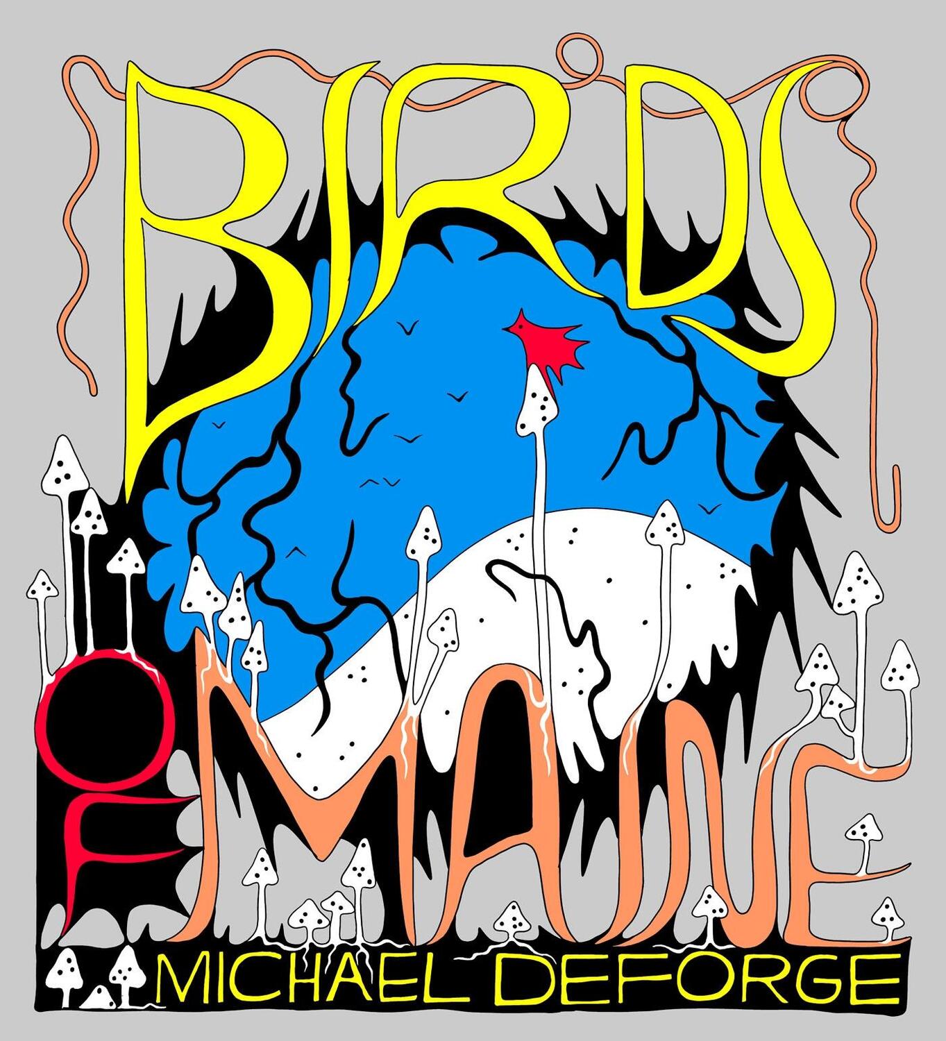 Cover: 9781770465664 | Birds of Maine | Michael Deforge | Buch | 464 S. | Englisch | 2022