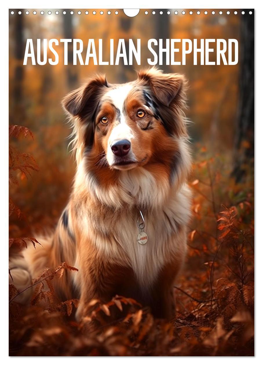 Cover: 9783435876648 | Australian Shepherd (Wandkalender 2025 DIN A3 hoch), CALVENDO...