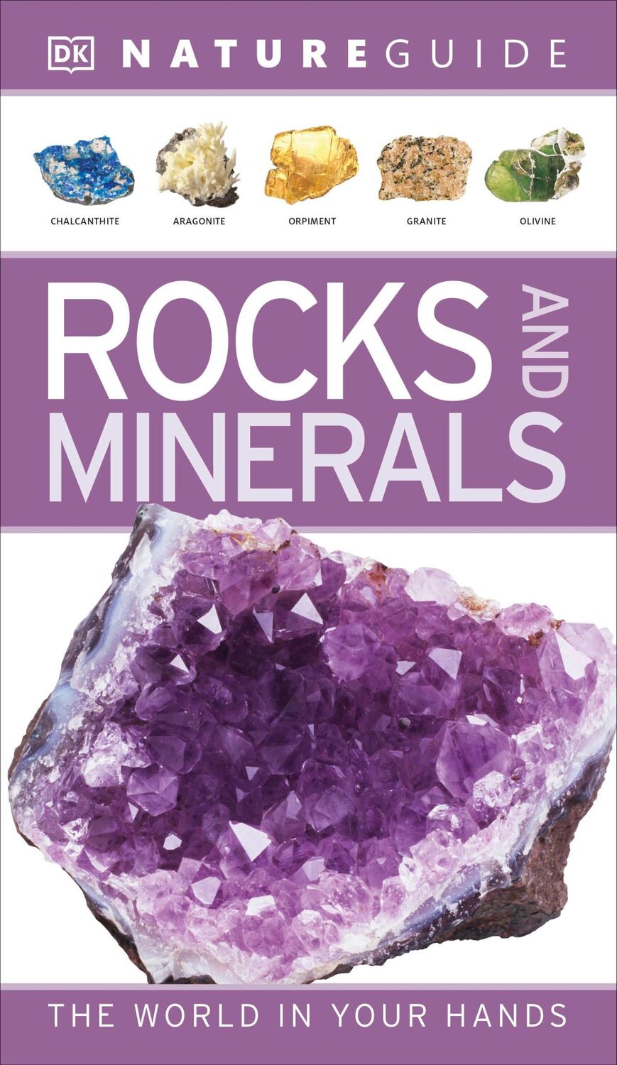 Cover: 9781405375863 | Nature Guide Rocks and Minerals | The World in Your Hands | Dk | Buch