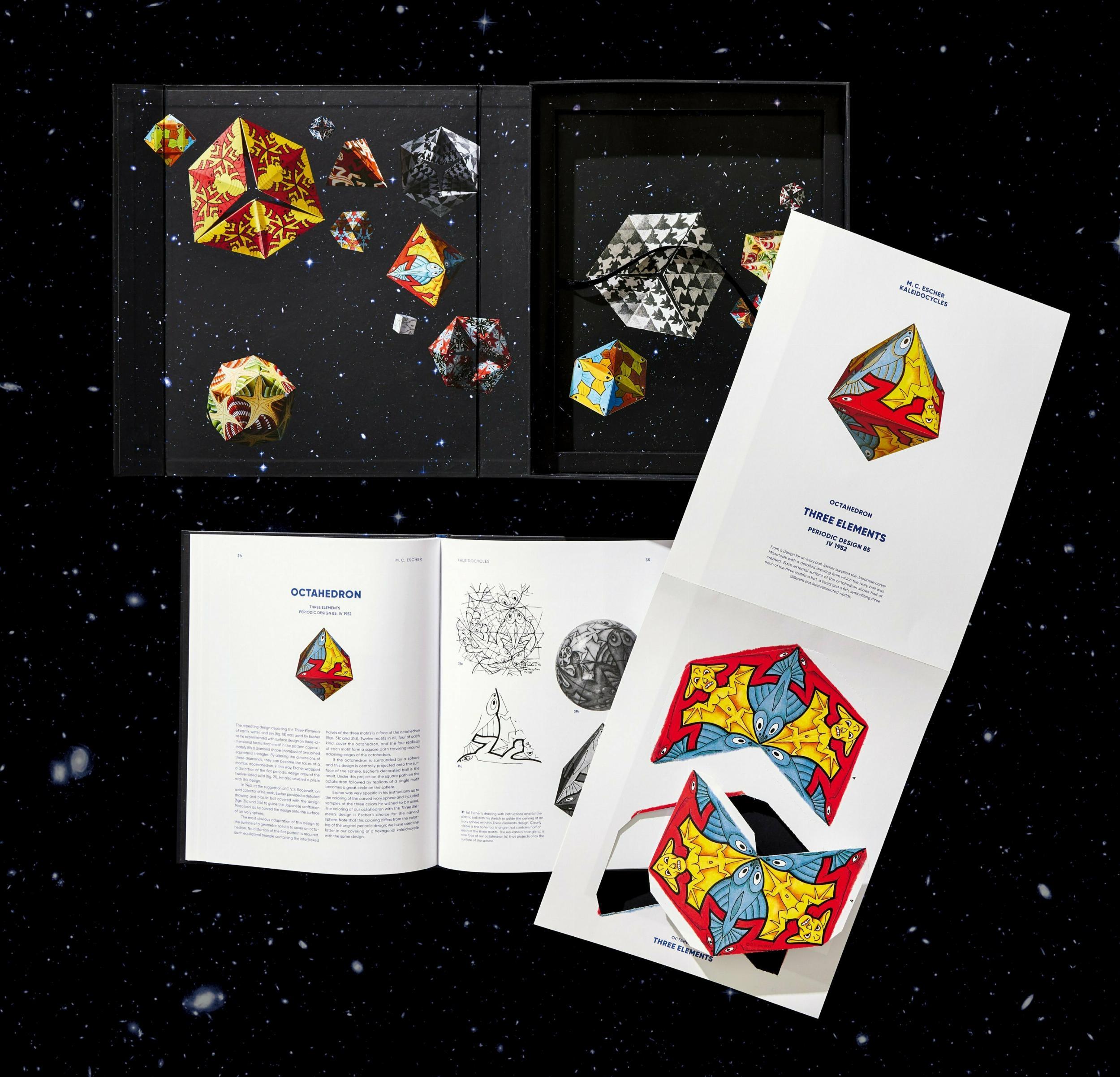 Bild: 9783836583688 | M.C. Escher. Kaleidozyklen | Doris Schattschneider (u. a.) | Buch