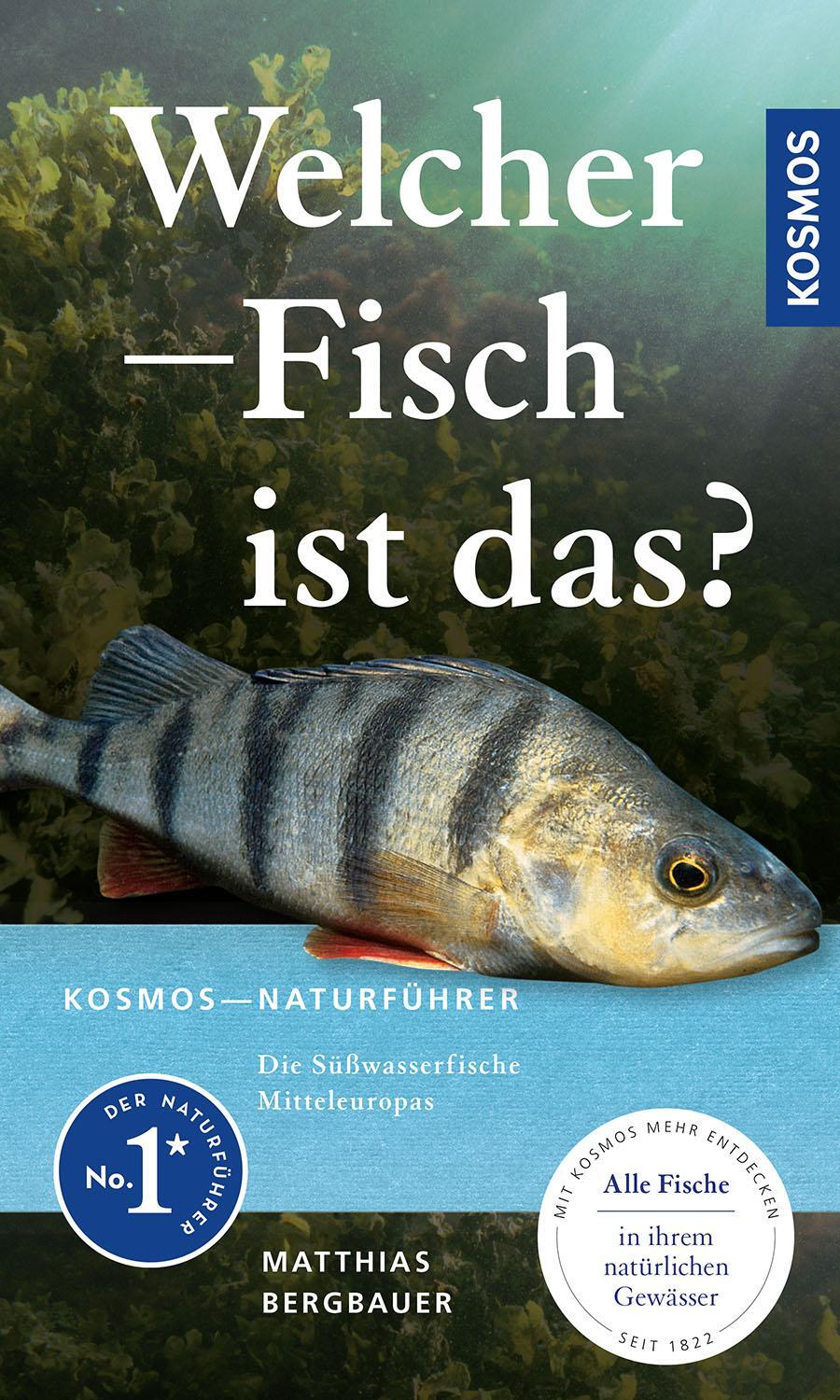 Cover: 9783440179796 | Welcher Fisch ist das? | Matthias Bergbauer | Taschenbuch | 160 S.