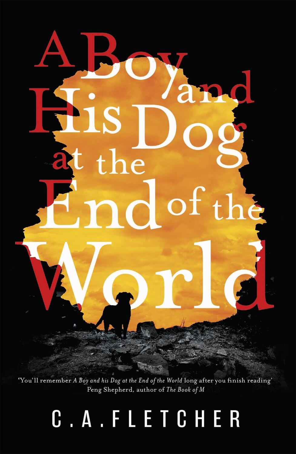 Cover: 9780356510927 | A Boy and his Dog at the End of the World | C. A. Fletcher | Buch