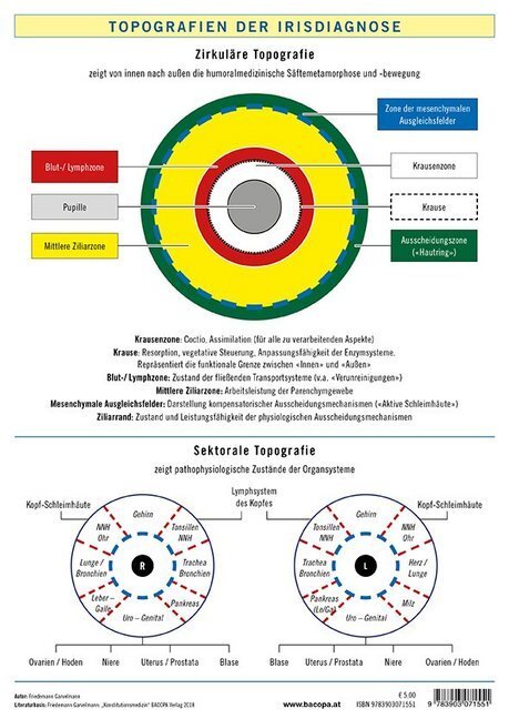 Cover: 9783903071551 | Topografien der Irisdiagnose, Poster | Friedemann Garvelmann | Poster