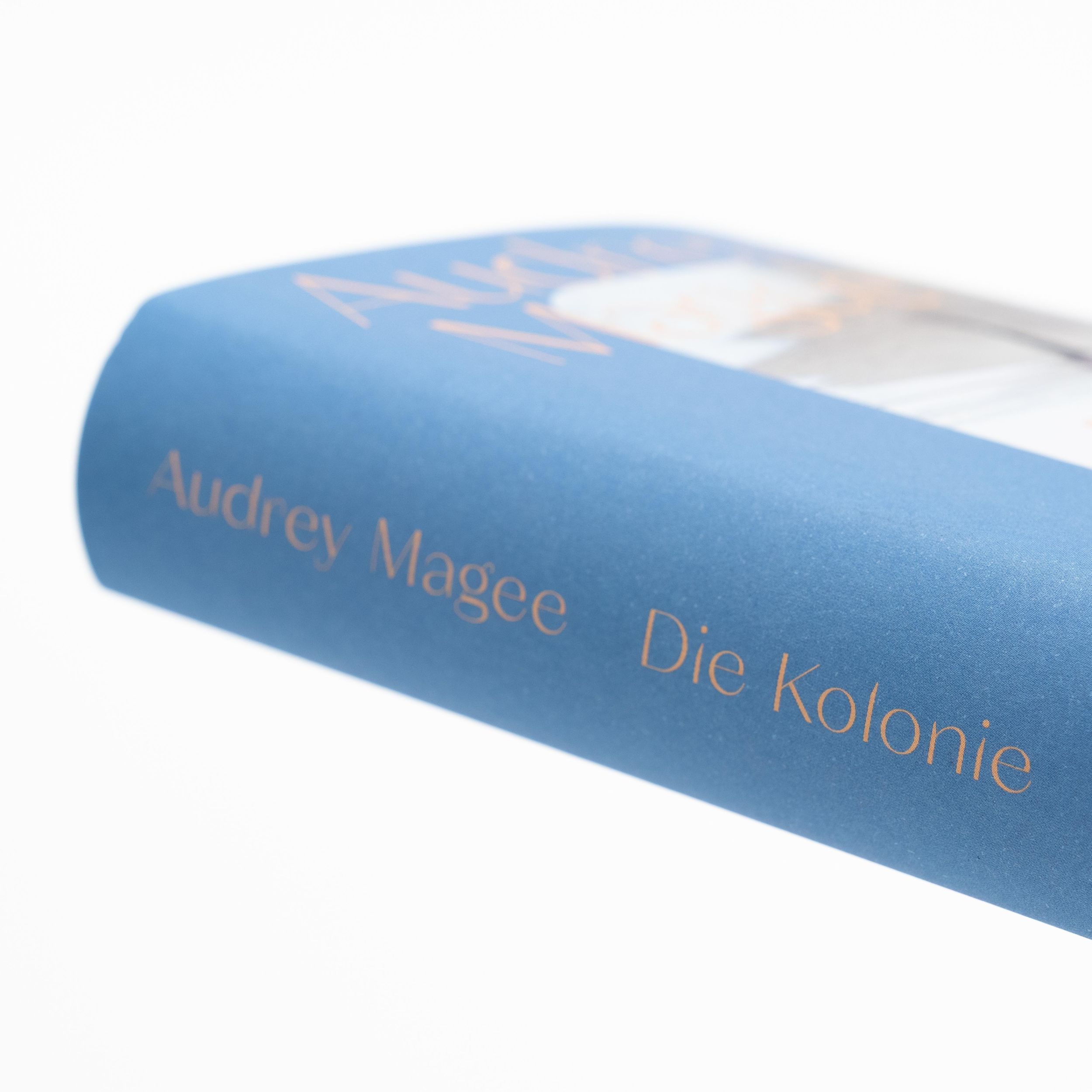 Bild: 9783312012893 | Die Kolonie | Audrey Magee | Buch | 400 S. | Deutsch | 2025