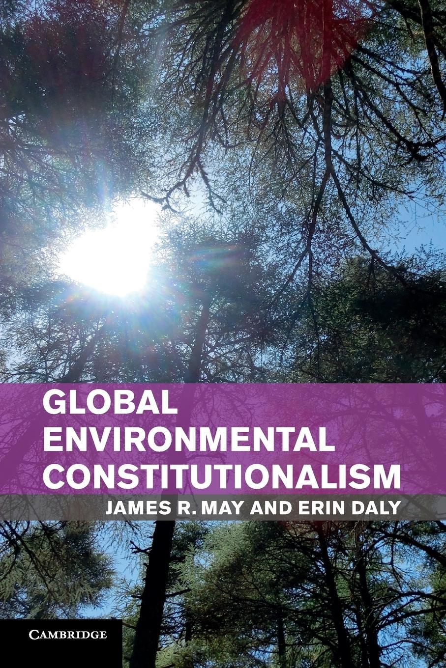 Cover: 9781316612842 | Global Environmental Constitutionalism | James R. May | Taschenbuch