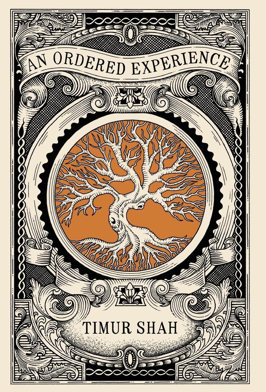 Cover: 9781915311351 | An Ordered Experience | Timur Shah | Buch | Englisch | 2023