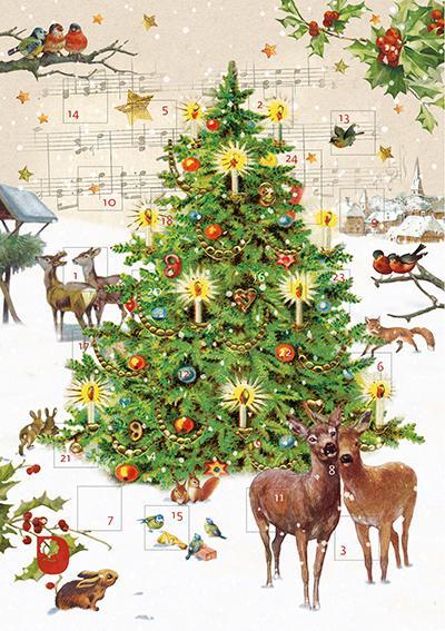 Cover: 9783987000546 | Wunderschöne Weihnachtszeit | 24 Adventsüberraschungen | Broschüre