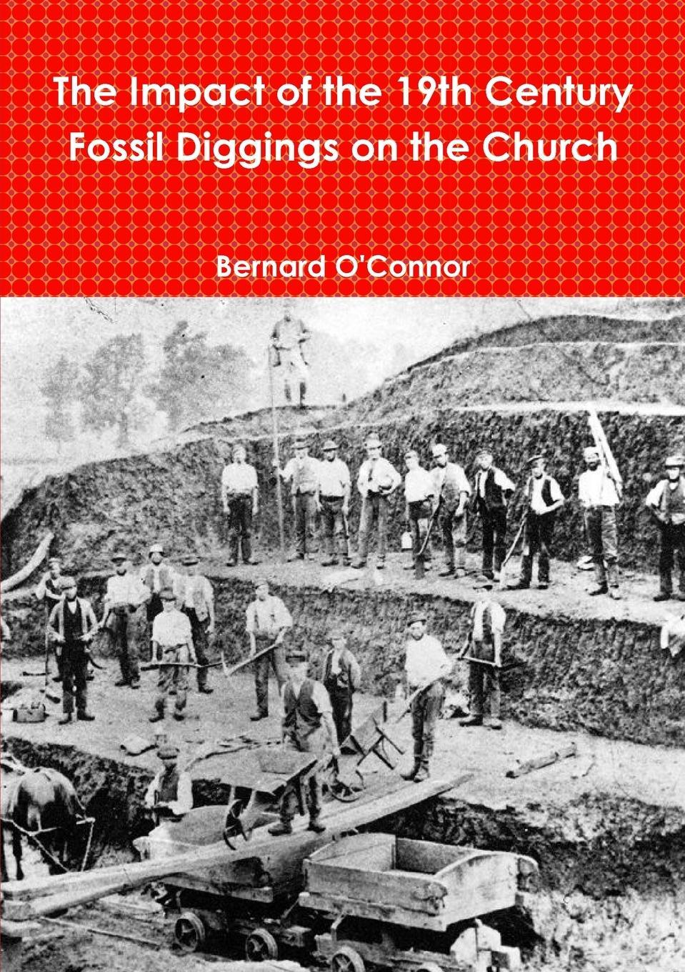 Cover: 9781447882053 | The Impact of the 19th Century Fossil Diggings on the Church | Buch