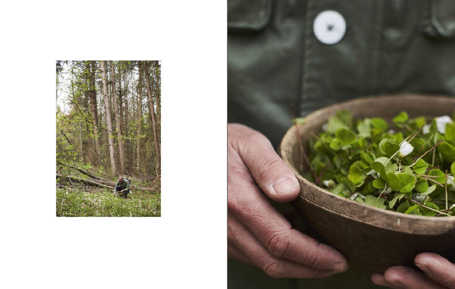 Bild: 9783791389363 | Immergrün: Die nordische Gemüseküche | 70 saisonale Rezepte | Karstad