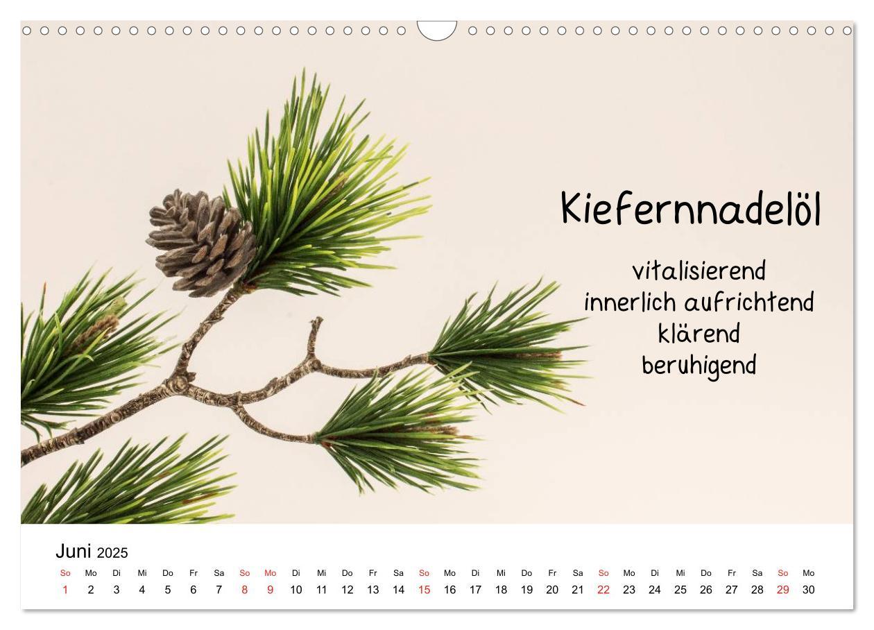 Bild: 9783435514670 | Aromatherapie - Düfte für die Seele (Wandkalender 2025 DIN A3...