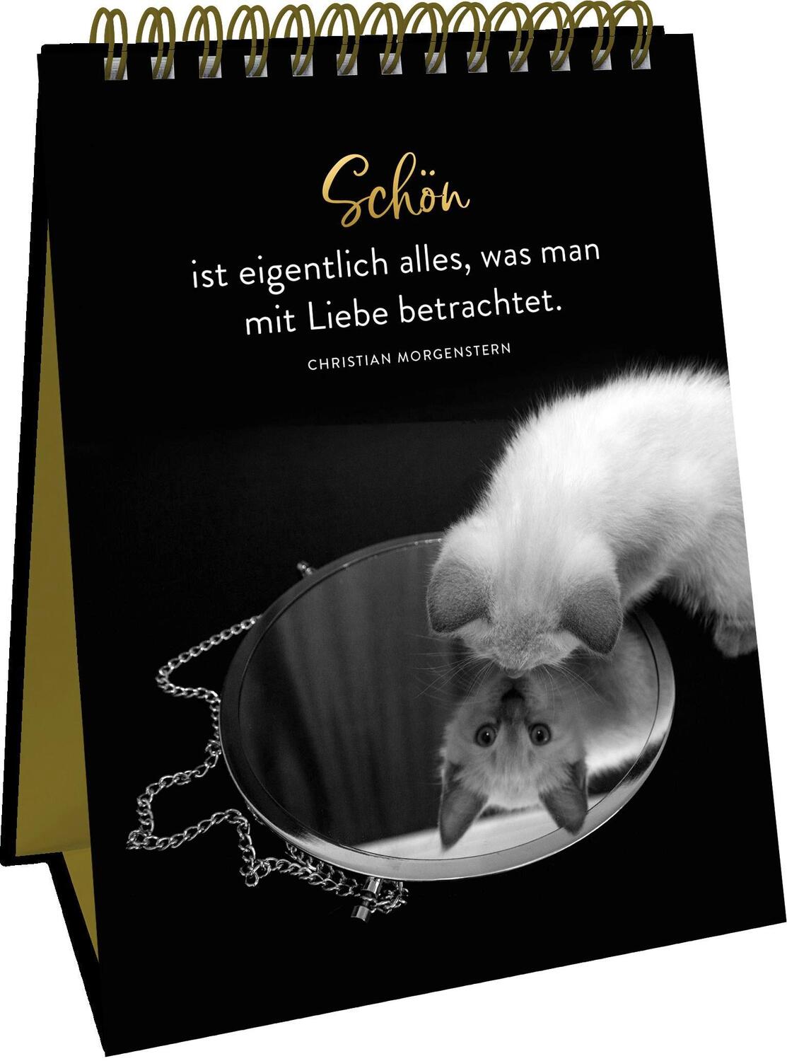 Bild: 9783848501267 | Goldene Katzenweisheiten | Groh Verlag | Taschenbuch | Spiralbindung