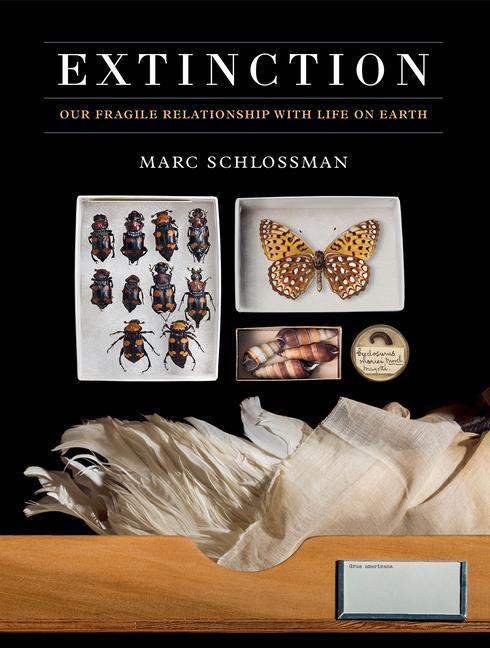 Cover: 9781781454534 | Extinction | Our Fragile Relationship with Life on Earth | Schlossman