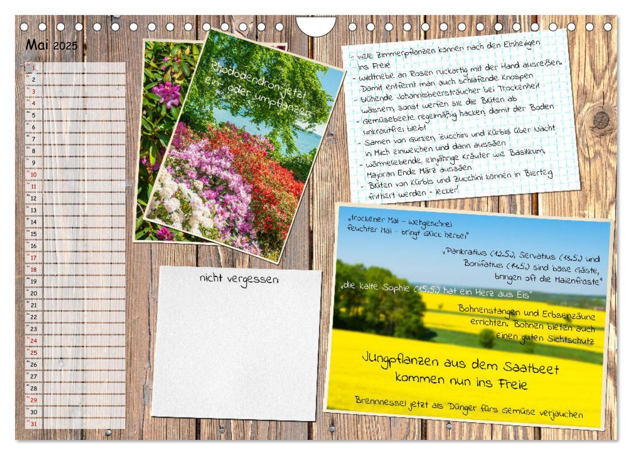 Bild: 9783435133116 | Was ist noch im Garten zu tun? (Wandkalender 2025 DIN A4 quer),...