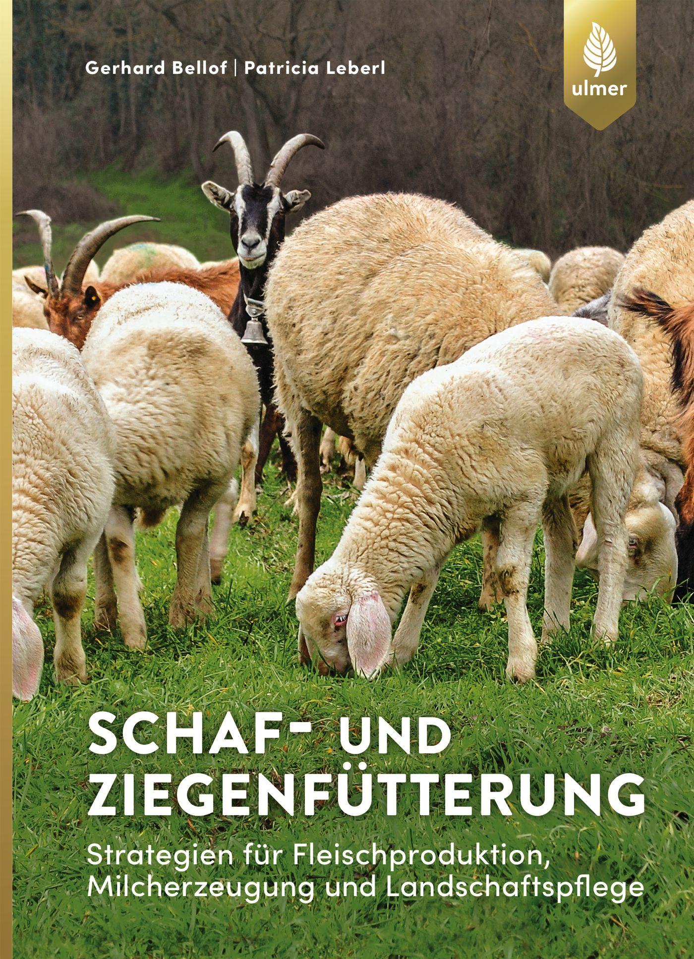 Cover: 9783800108817 | Schaf- und Ziegenfütterung | Gerhard Bellof (u. a.) | Taschenbuch