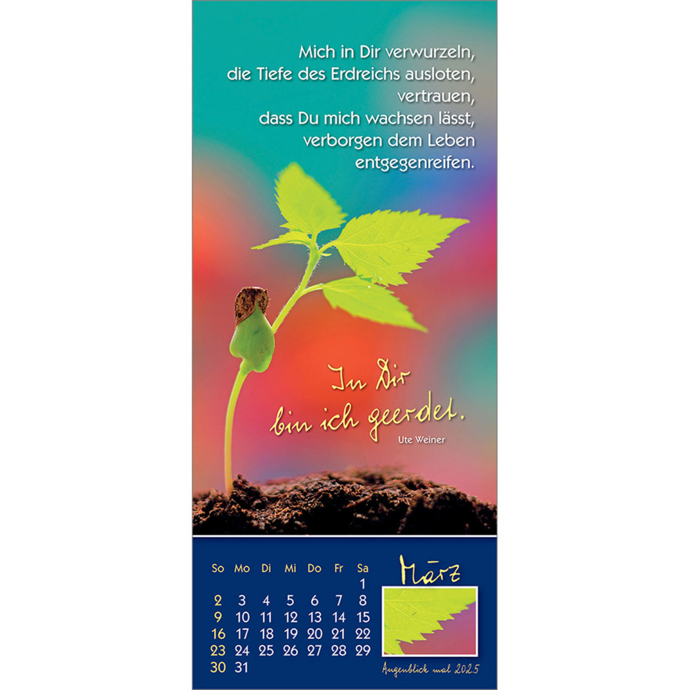 Bild: 9783754883556 | Augenblick mal 2025 | Der (kleine) Symbol-Kalender | Anke Will | 14 S.