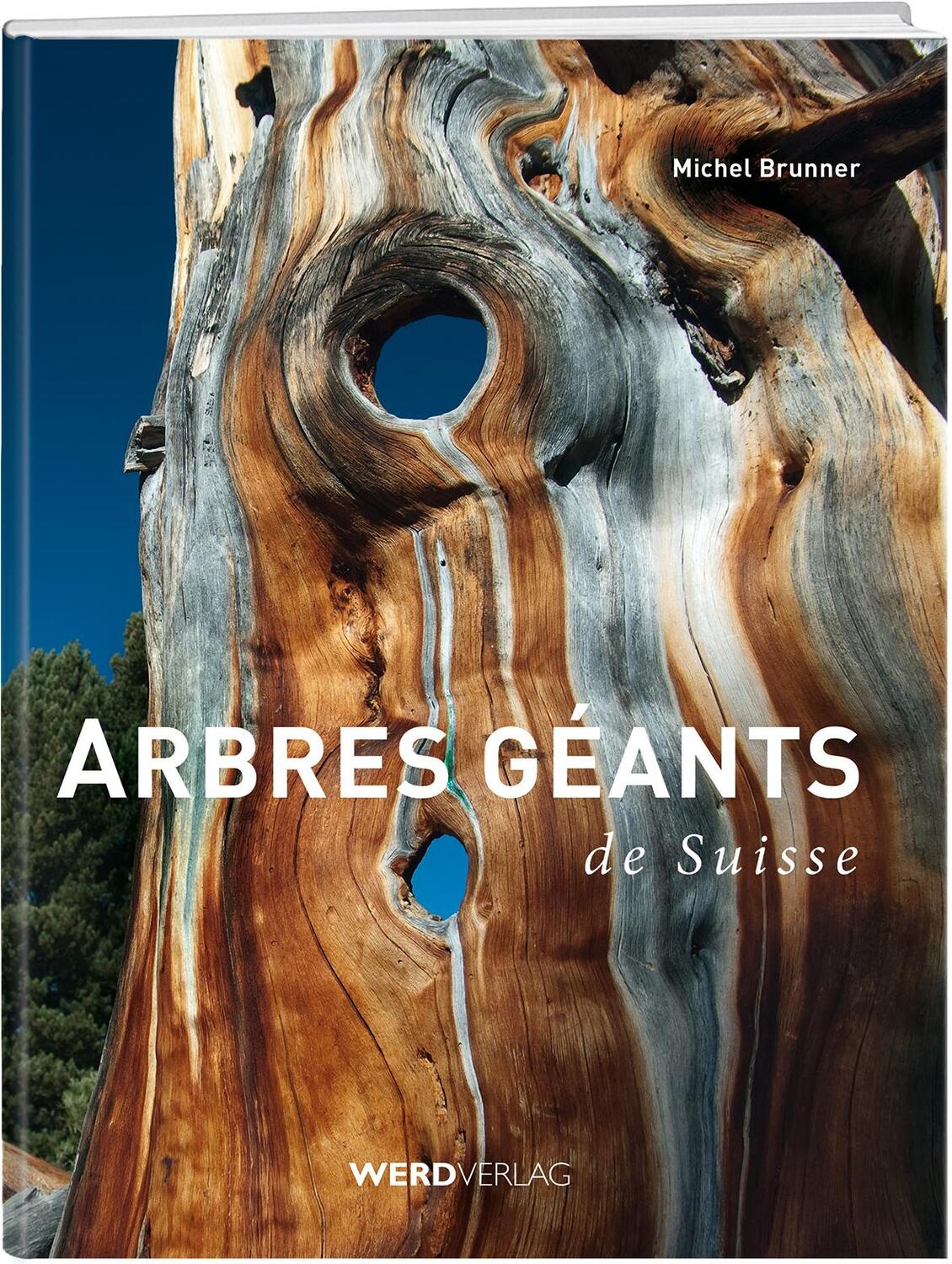 Cover: 9783859327207 | Arbres géants de Suisse | Michel Brunner | Buch | Gebunden | 2014