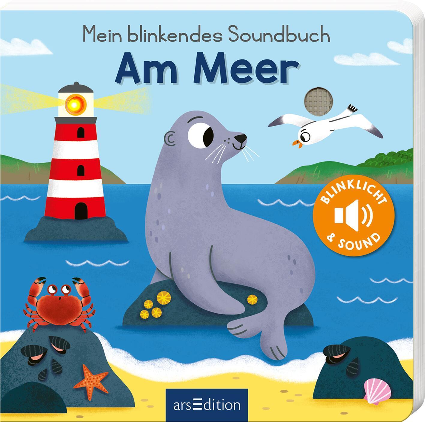 Cover: 9783845855523 | Mein blinkendes Soundbuch - Am Meer | Sound mit 1 LED | Maria Höck