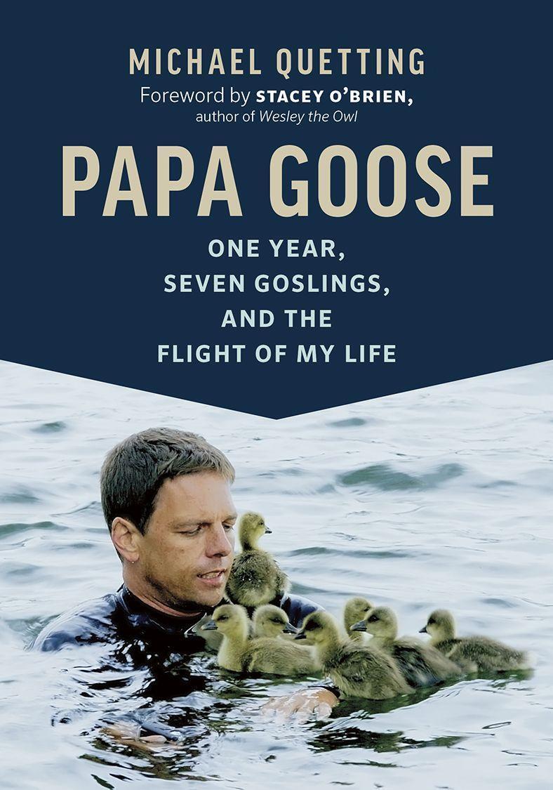 Cover: 9781771643610 | Papa Goose | One Year, Seven Goslings, and the Flight of My Life