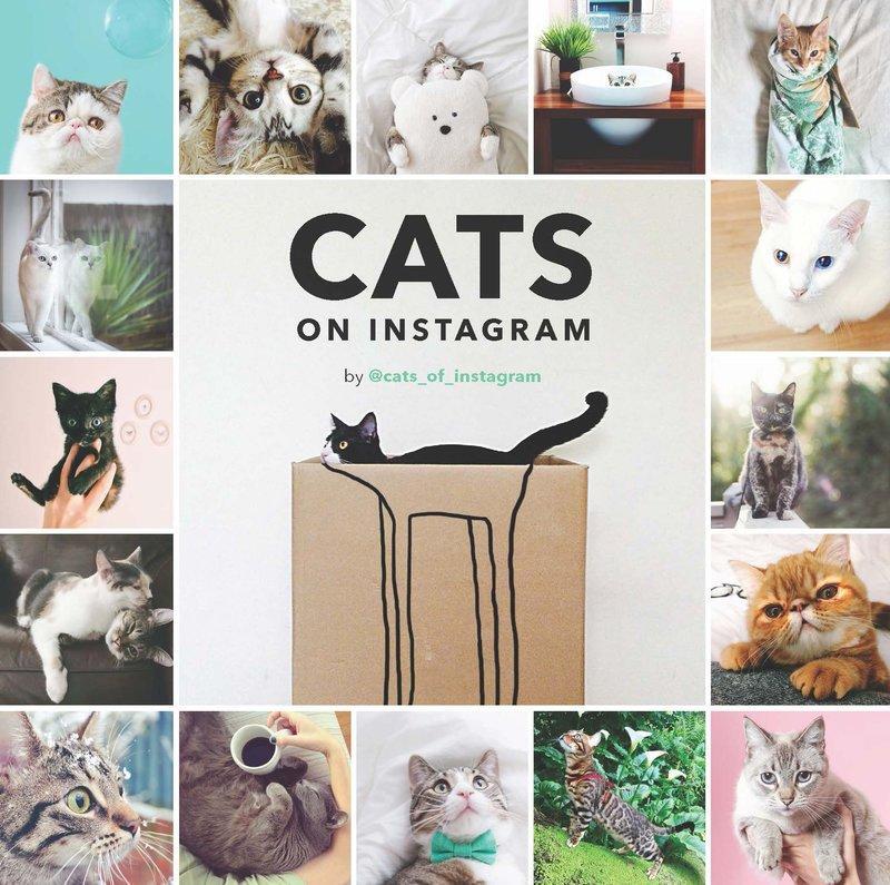 Cover: 9781452151960 | Cats on Instagram | @Cats_of_instagram | Buch | Englisch | 2016