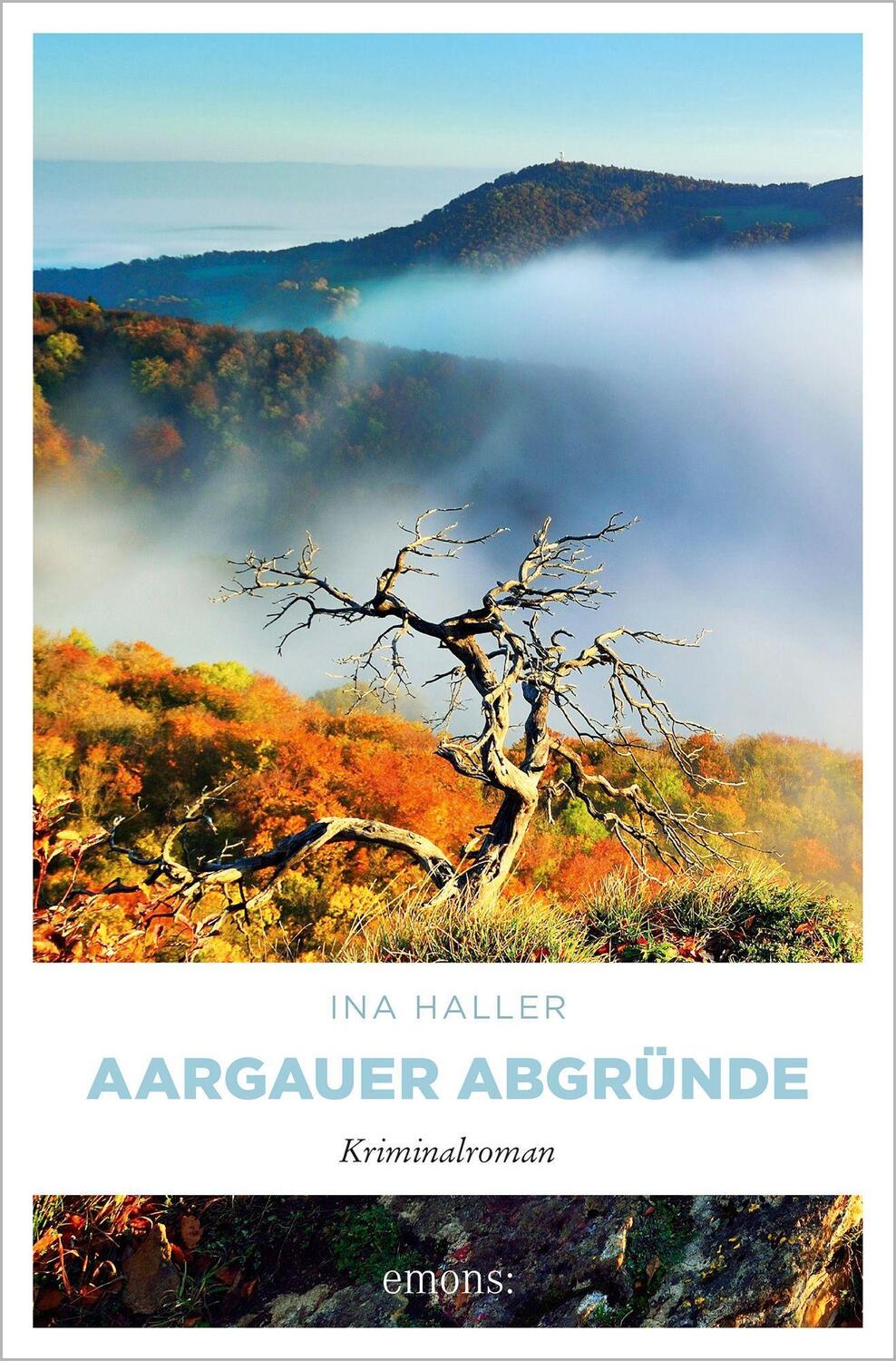 Cover: 9783740812591 | Aargauer Abgründe | Kriminalroman | Ina Haller | Taschenbuch | Deutsch