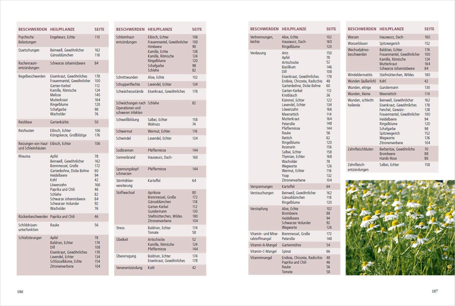 Bild: 9783809446316 | Meine Gartenapotheke. Heilen und gesund leben mit Gemüse, Obst und...