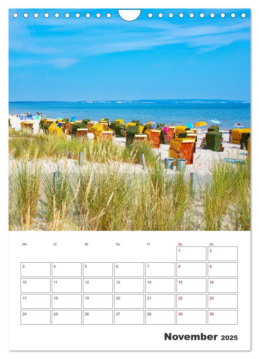 Bild: 9783435918003 | Rügen - Terminplaner (Wandkalender 2025 DIN A4 hoch), CALVENDO...