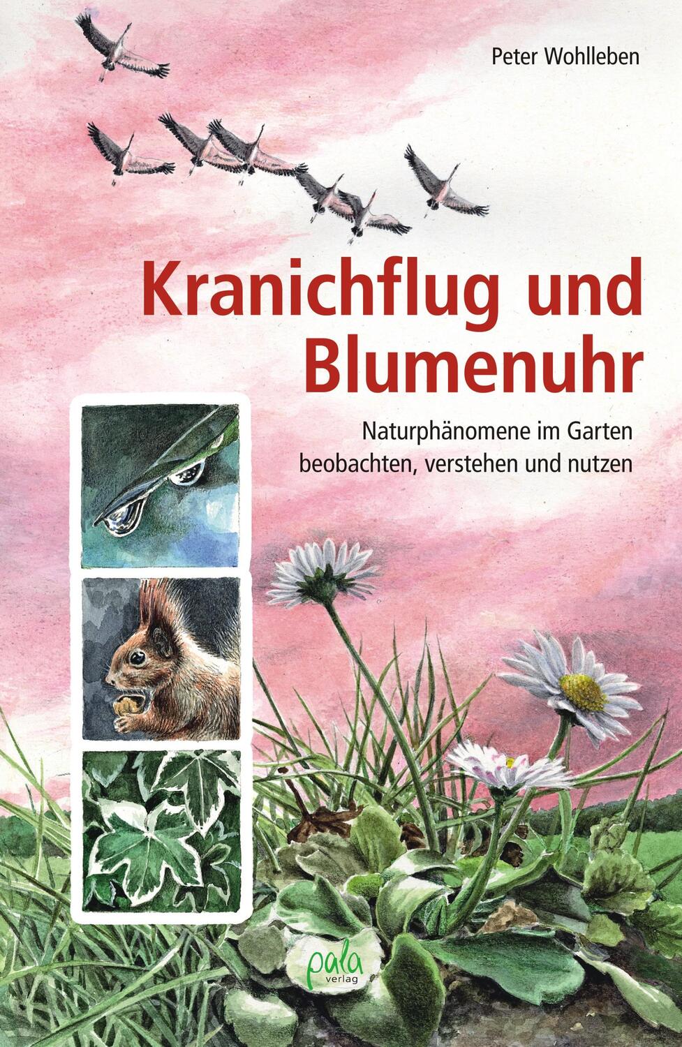 Cover: 9783895663840 | Kranichflug und Blumenuhr | Peter Wohlleben | Buch | 162 S. | Deutsch